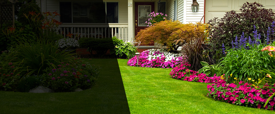 San Jacinto Landscapers