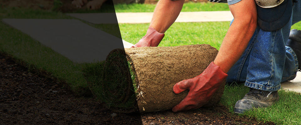 San Jacinto Landscapers